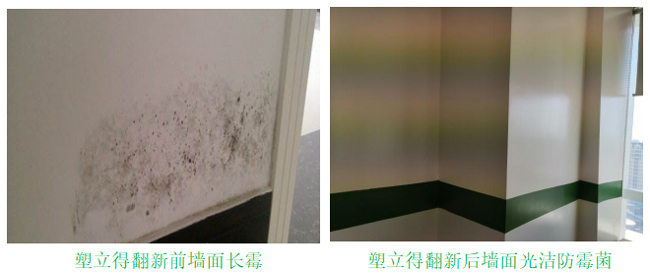 長霉墻面翻新