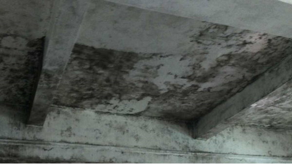 施工前霉菌墻面