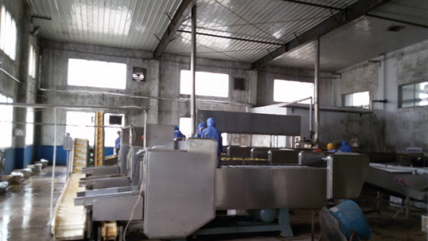 舊食品加工廠房墻面