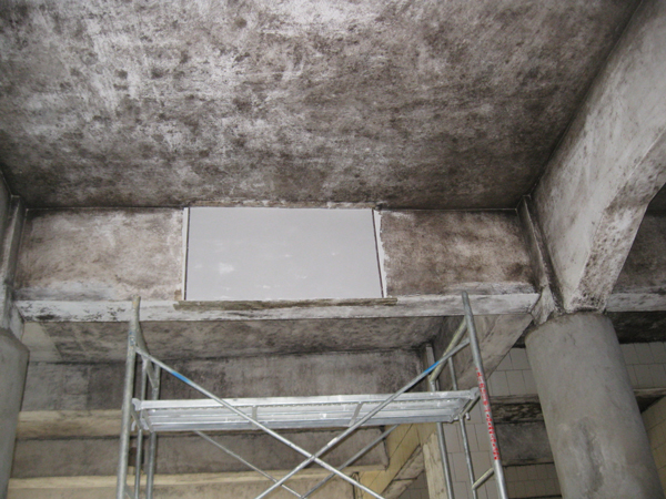 煙廠防霉抗菌墻面漆