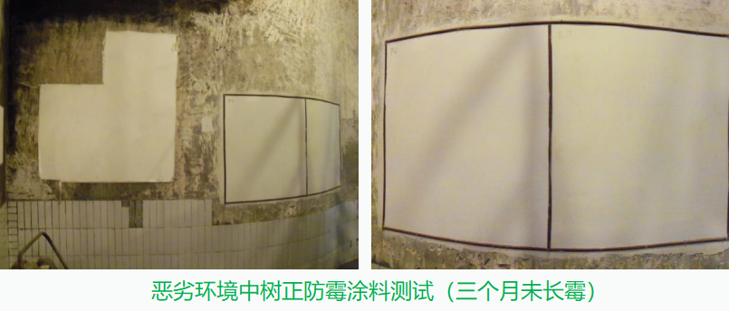 酒廠防霉墻面，確保生產(chǎn)廠房環(huán)境的健康無菌！