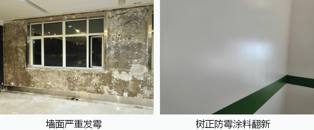 地下室墻面防霉涂料，哪家質(zhì)量比較好，能夠有效的防霉？