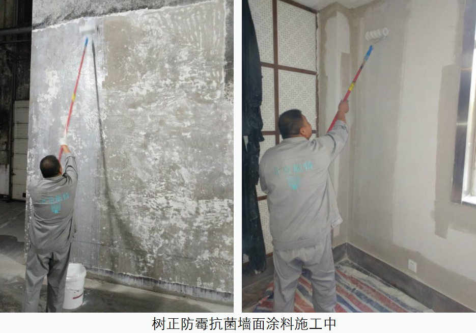 墻面刷防水涂料防霉，哪家質(zhì)量比較好值得我們的選擇？