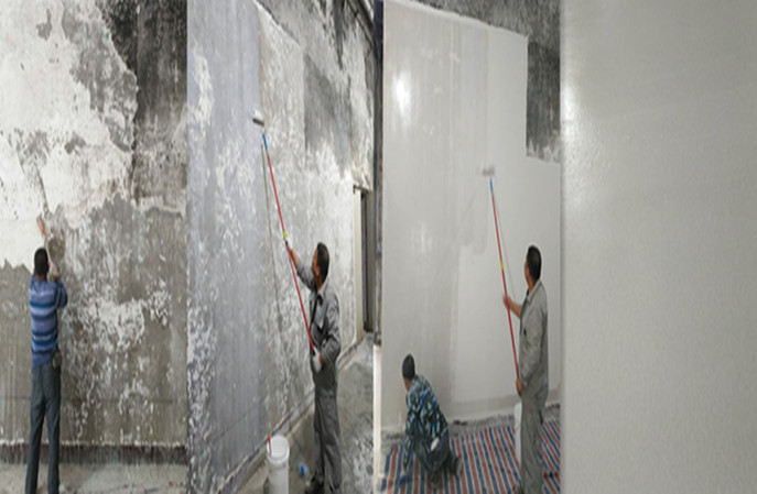 你知道防霉墻面涂料環(huán)保嗎?