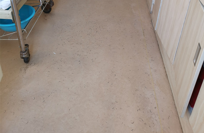 塑立得保養(yǎng)清潔技巧，輕松延長(zhǎng)塑膠地板使用年限