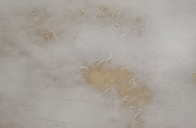 塑立得在塑膠地板翻新保養(yǎng)后有哪些不一樣