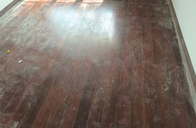 塑立得防護(hù)涂料--舊木地板翻新保養(yǎng)的秘密武器