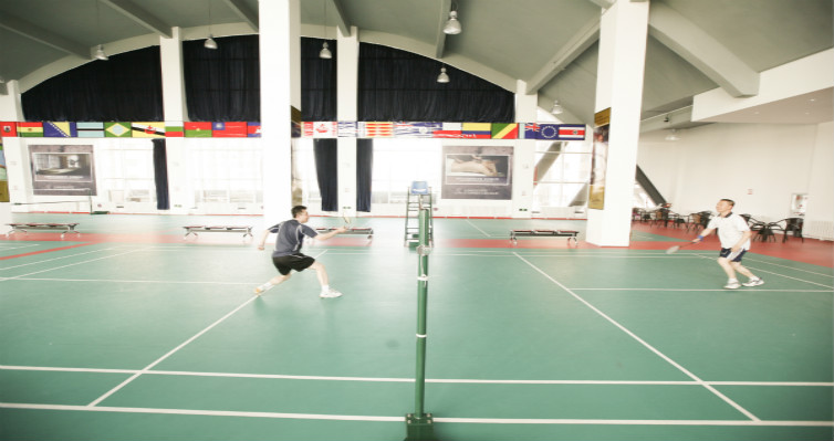 體育運(yùn)動(dòng)pvc地板